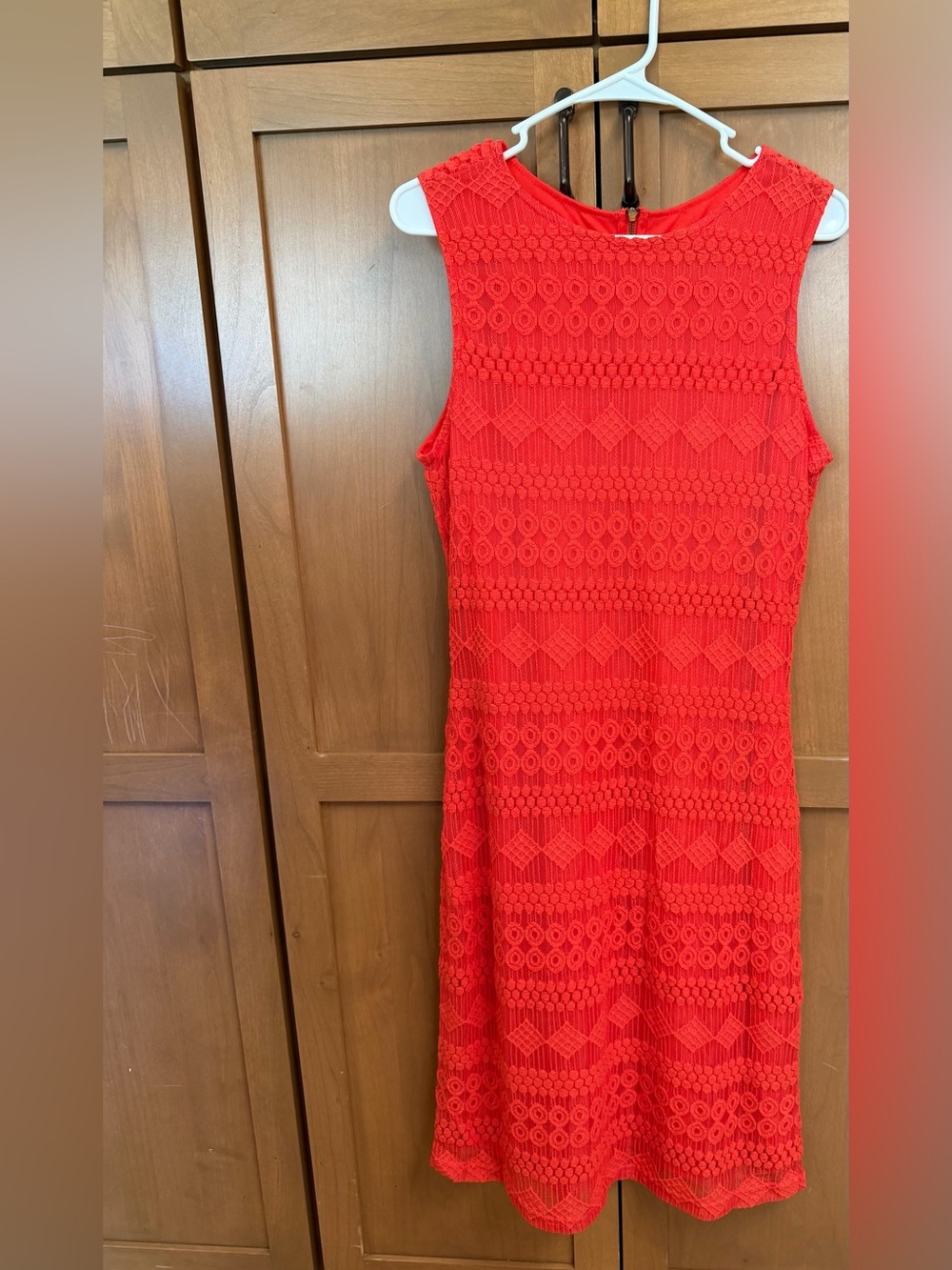 Sharagano Red Sleeveless Crochet Sheath Dress